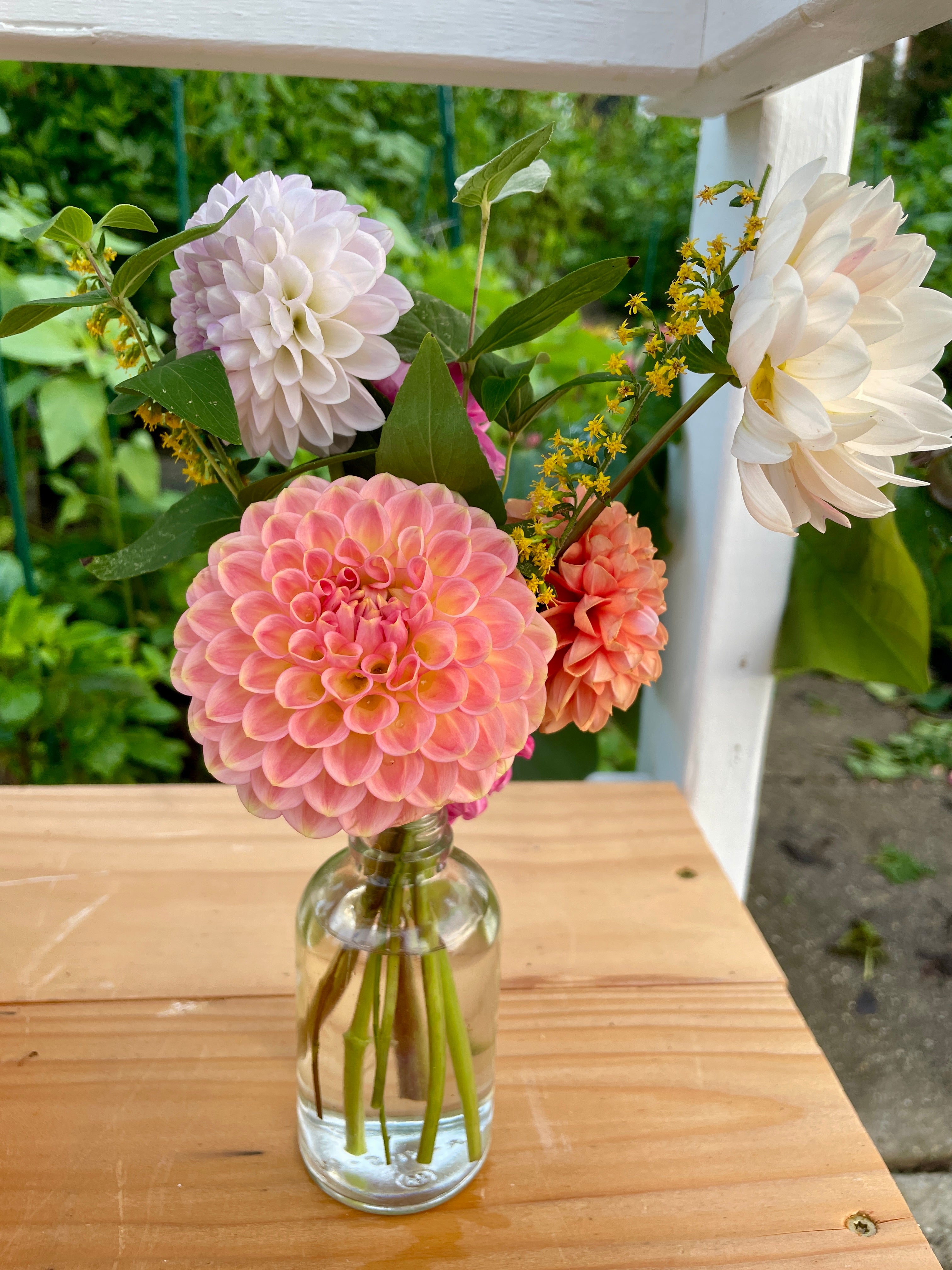 20th Ave Softer Peach