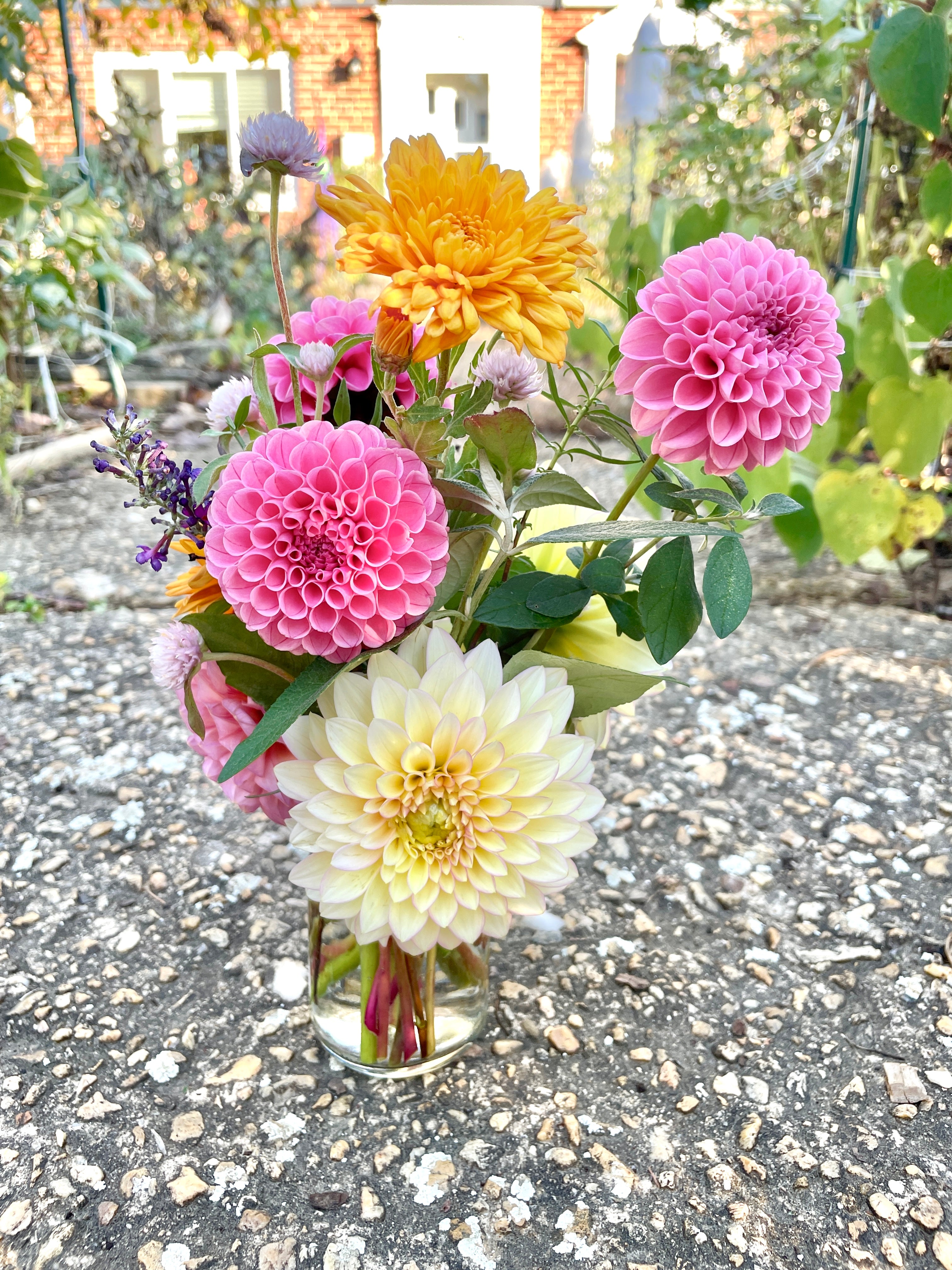 Bloomquist Blush (GG)